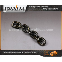 Heavy Duty Black Industrial Chain